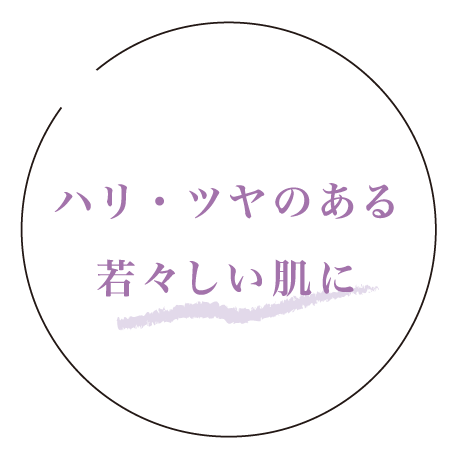 ハリ・ツヤのある若々しい肌に