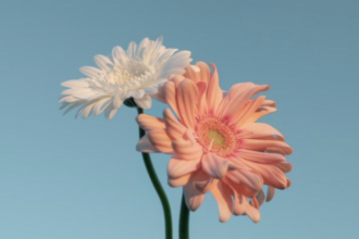 人生が変わる💐　心理学