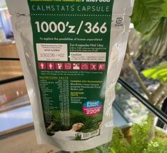 年末の必需品！