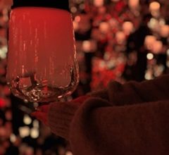 チ－ムラボ　バイオヴォルテックス京都